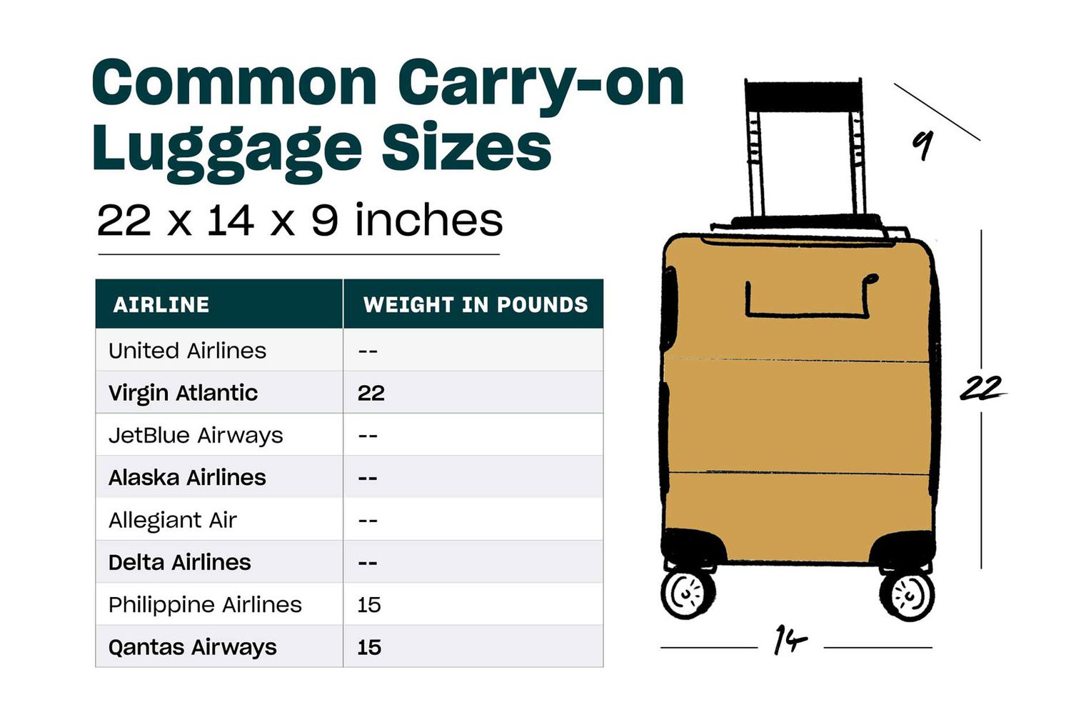 What Are The Baggage Rules For Domestic Airlines?