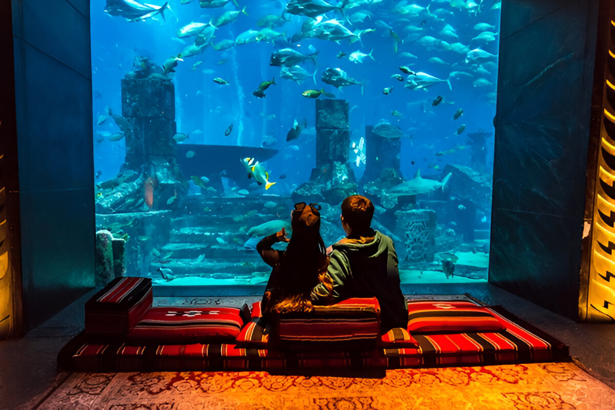 Underwater Hotels: Sleeping with the Fishes